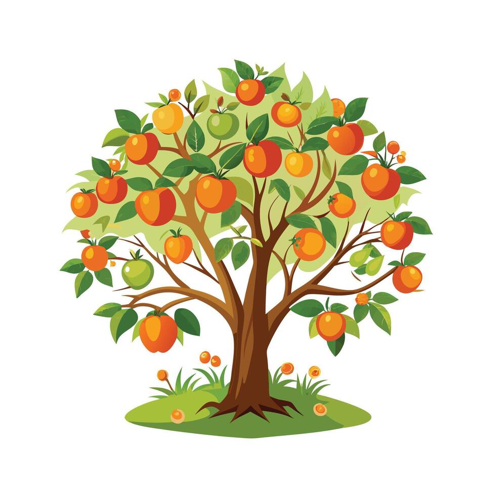 Beautiful Single Big Tree Illustration vector