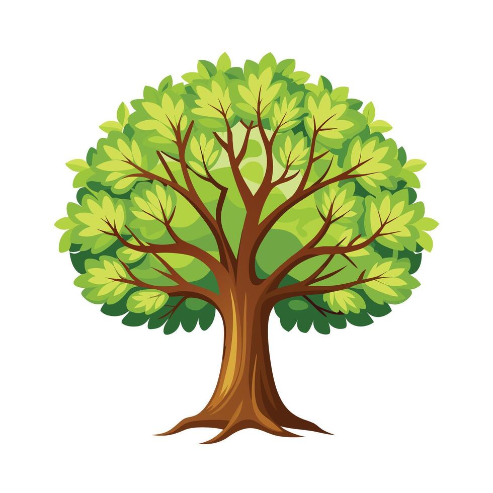 Beautiful Single Big Tree Illustration vector