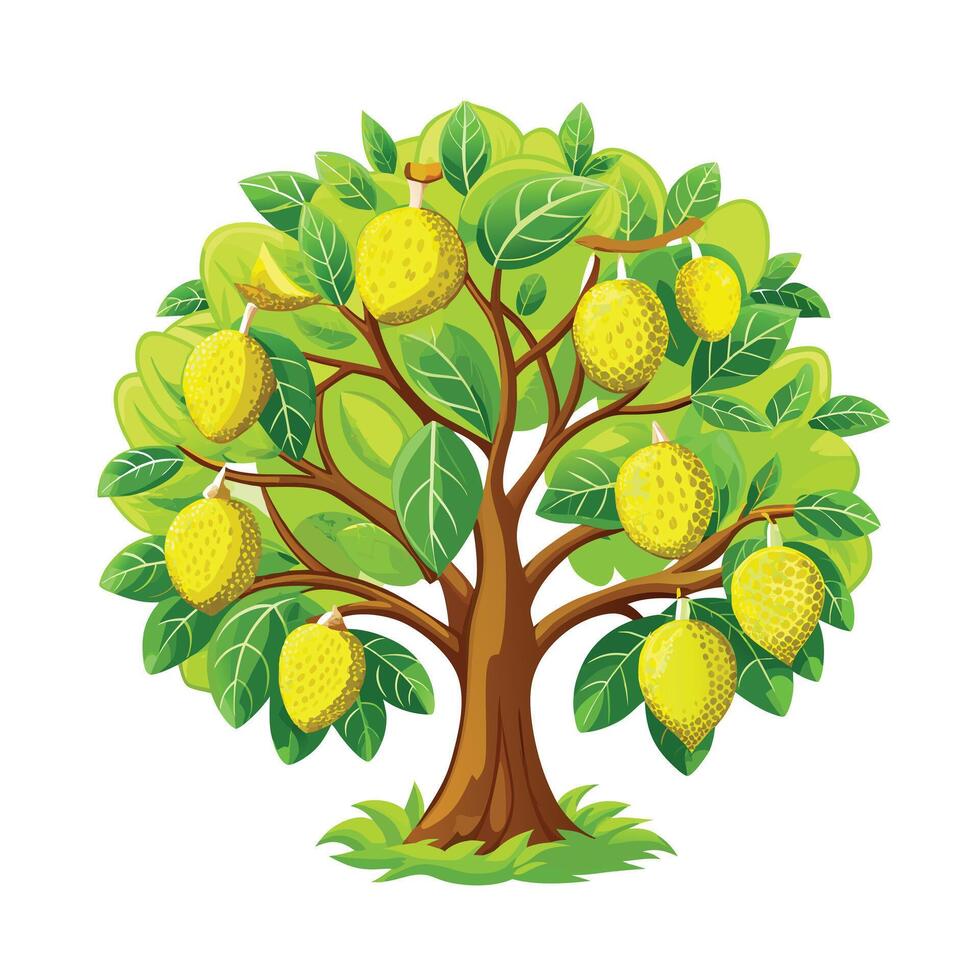 Beautiful Single Big Tree Illustration vector
