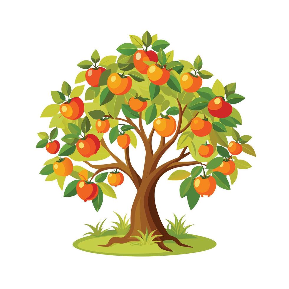 Beautiful Single Big Tree Illustration vector
