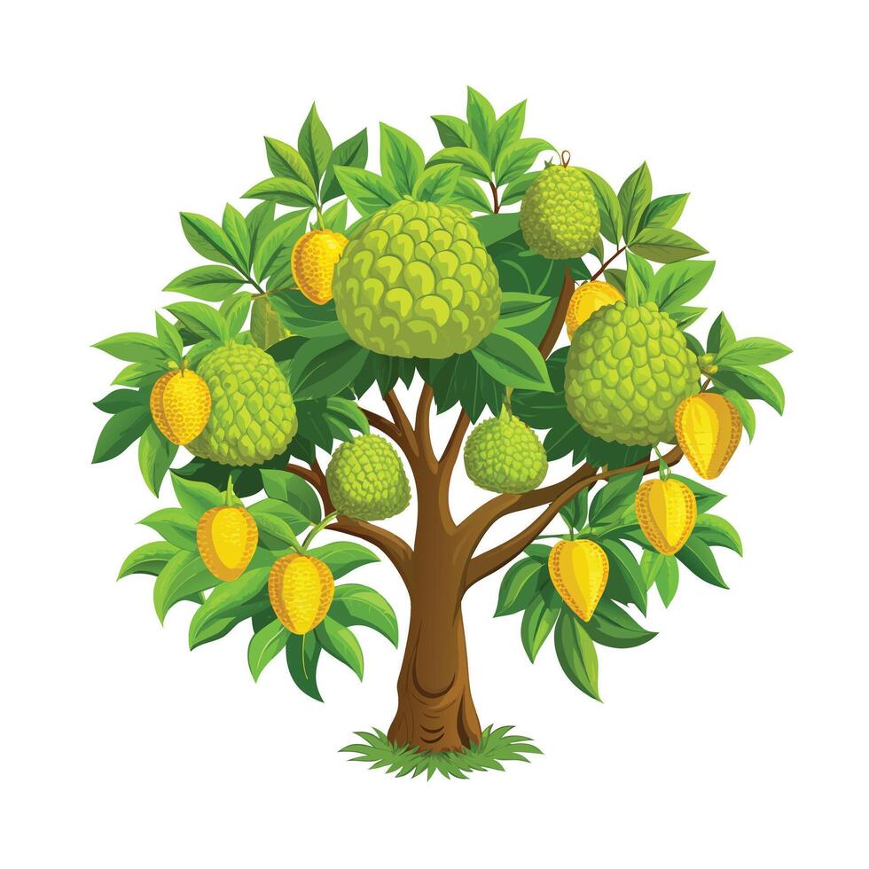 Beautiful Single Big Tree Illustration vector