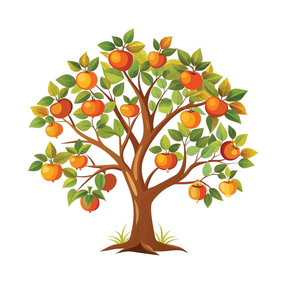Beautiful Single Big Tree Illustration vector