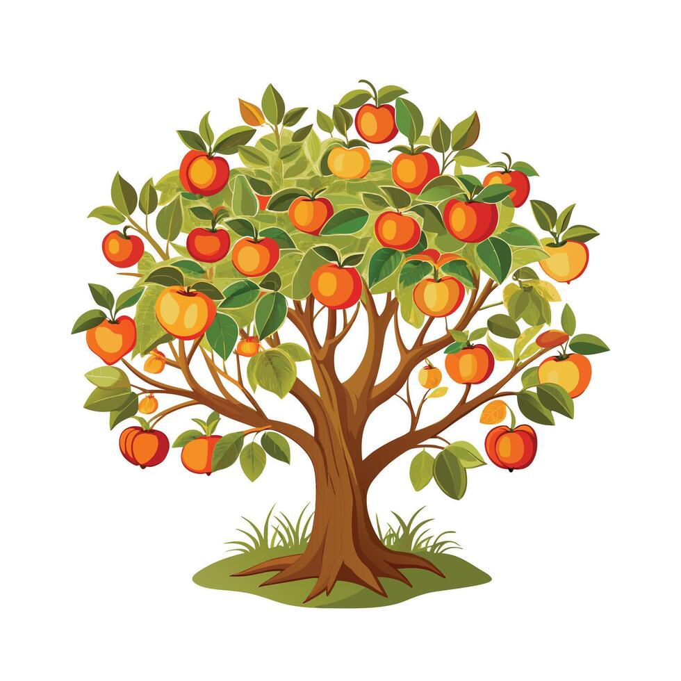 Beautiful Single Big Tree Illustration vector