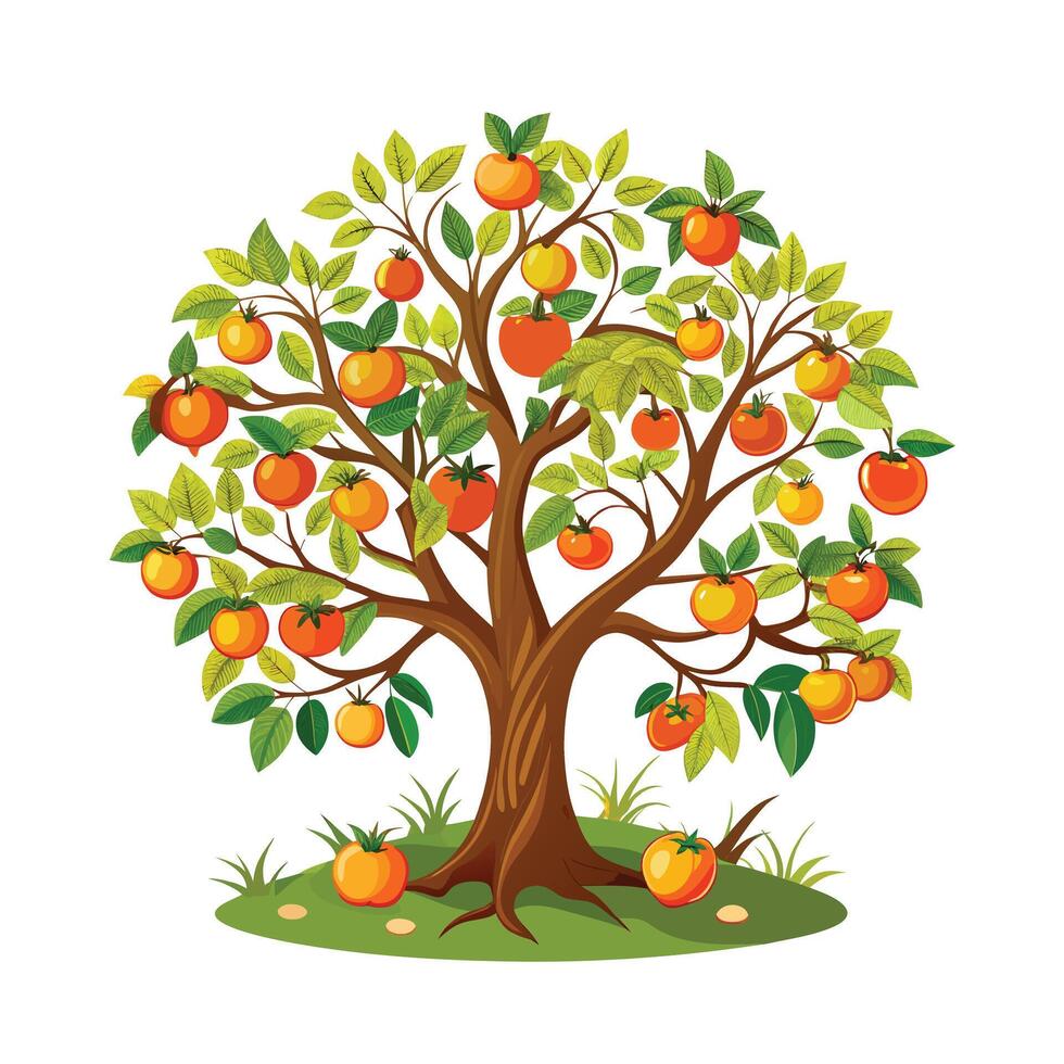 Beautiful Single Big Tree Illustration vector