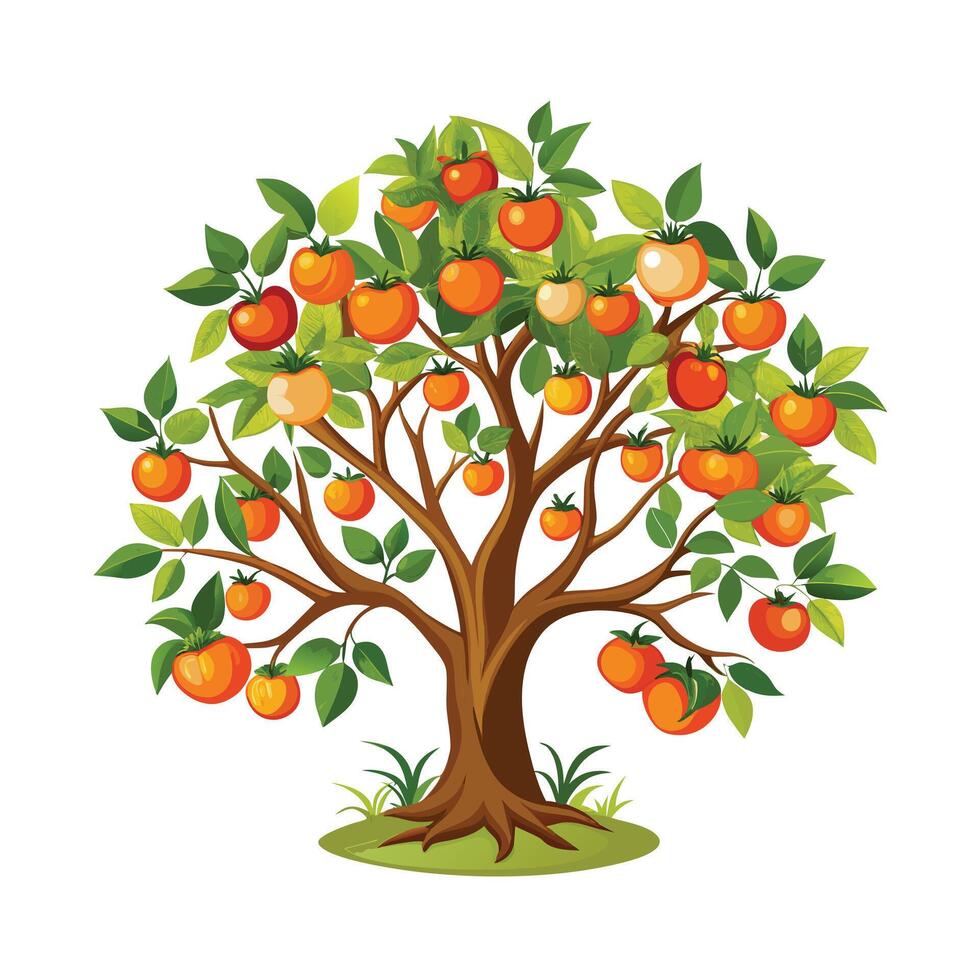Beautiful Single Big Tree Illustration vector