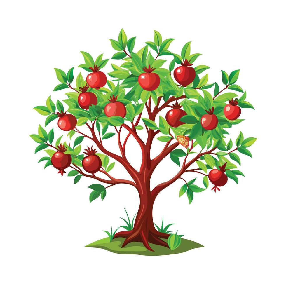 Beautiful Single Big Tree Illustration vector