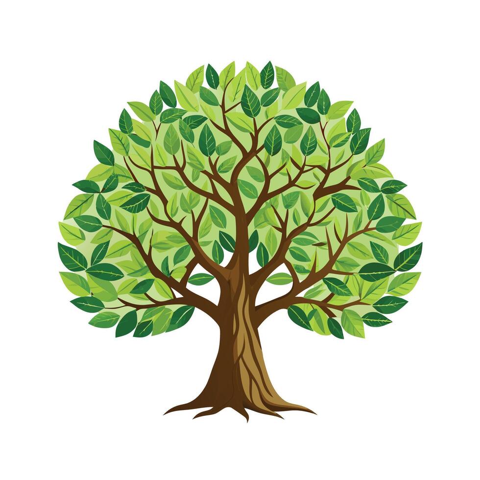 Beautiful Single Big Tree Illustration vector
