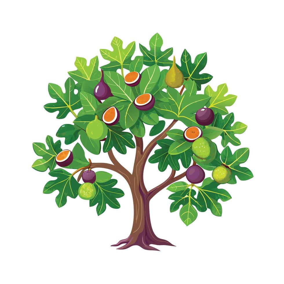 Beautiful Single Big Tree Illustration vector