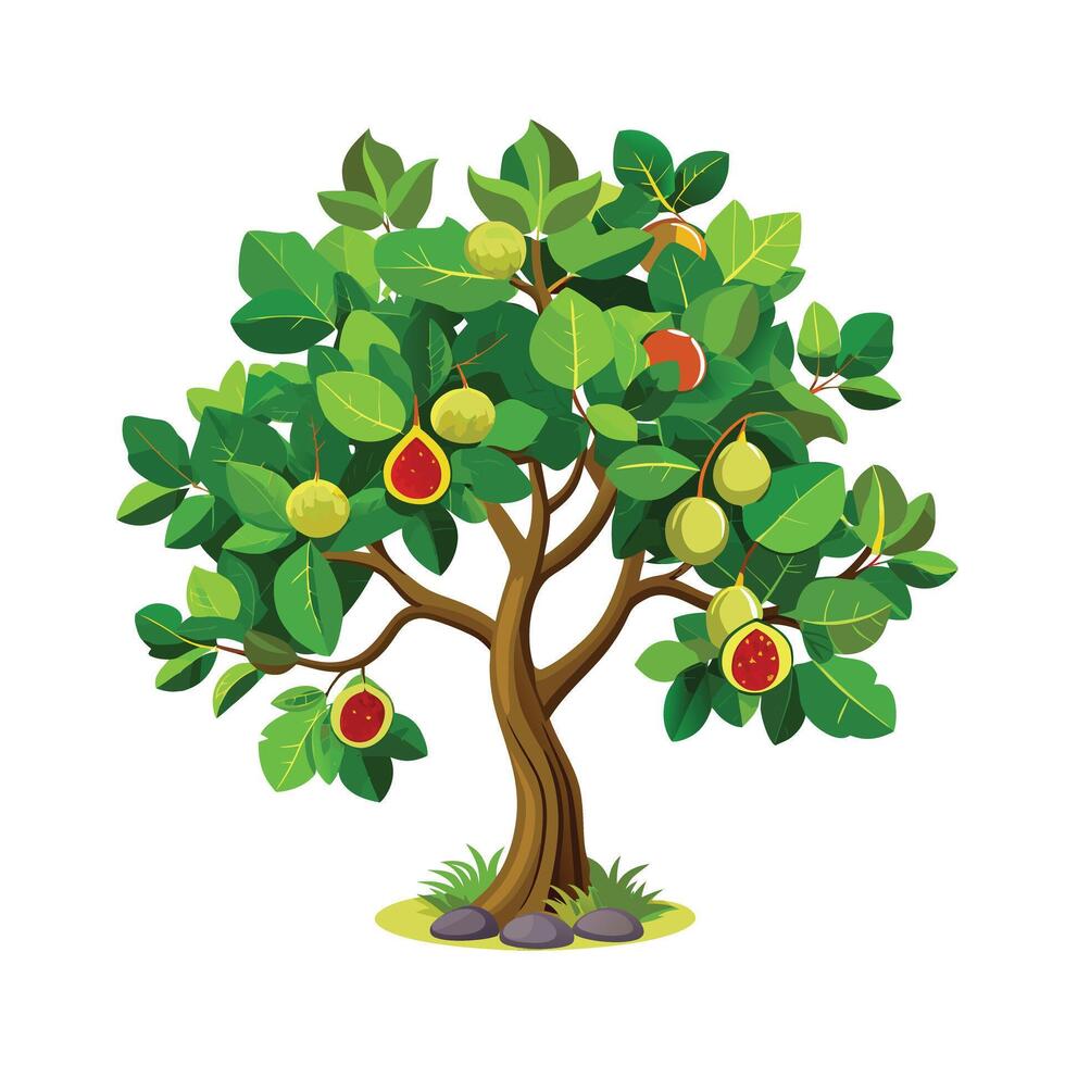 Beautiful Single Big Tree Illustration vector