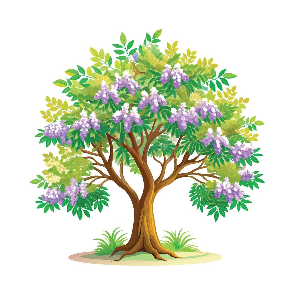 Beautiful Single Big Tree Illustration vector