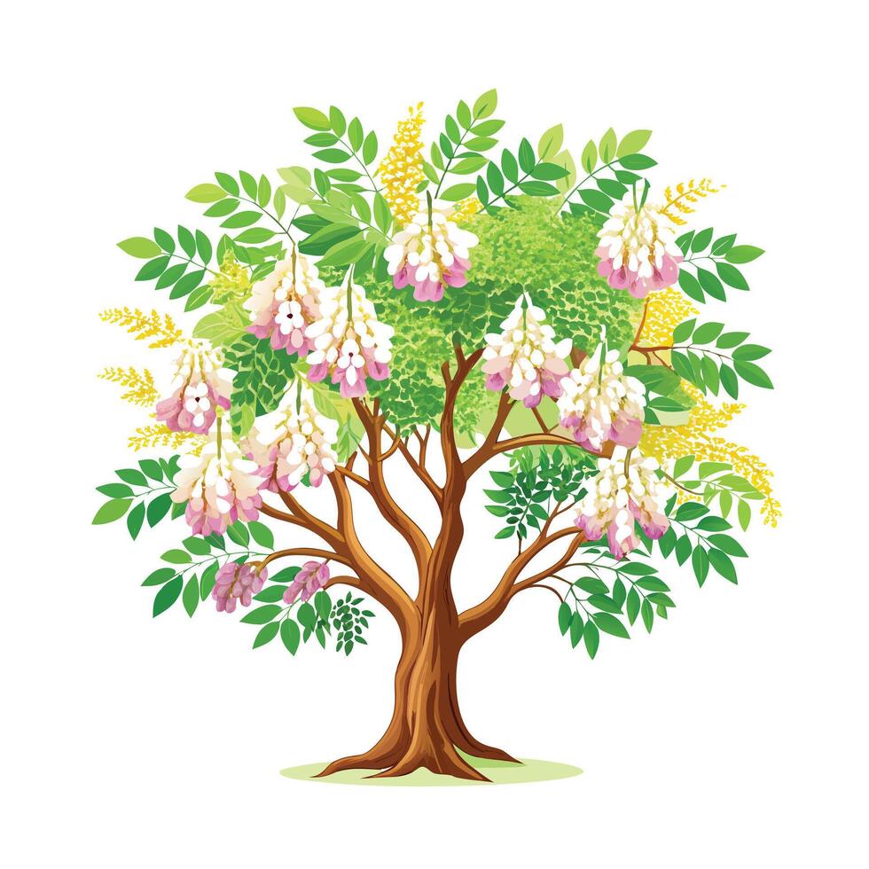 Beautiful Single Big Tree Illustration vector