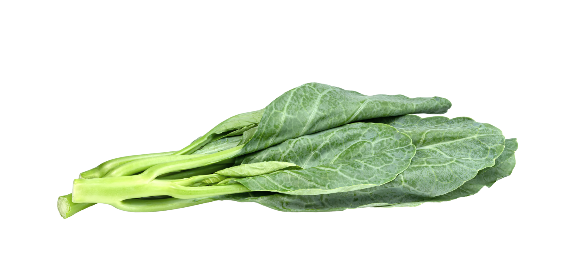 Chinese kale isolated. Green leaves of collards pattern png