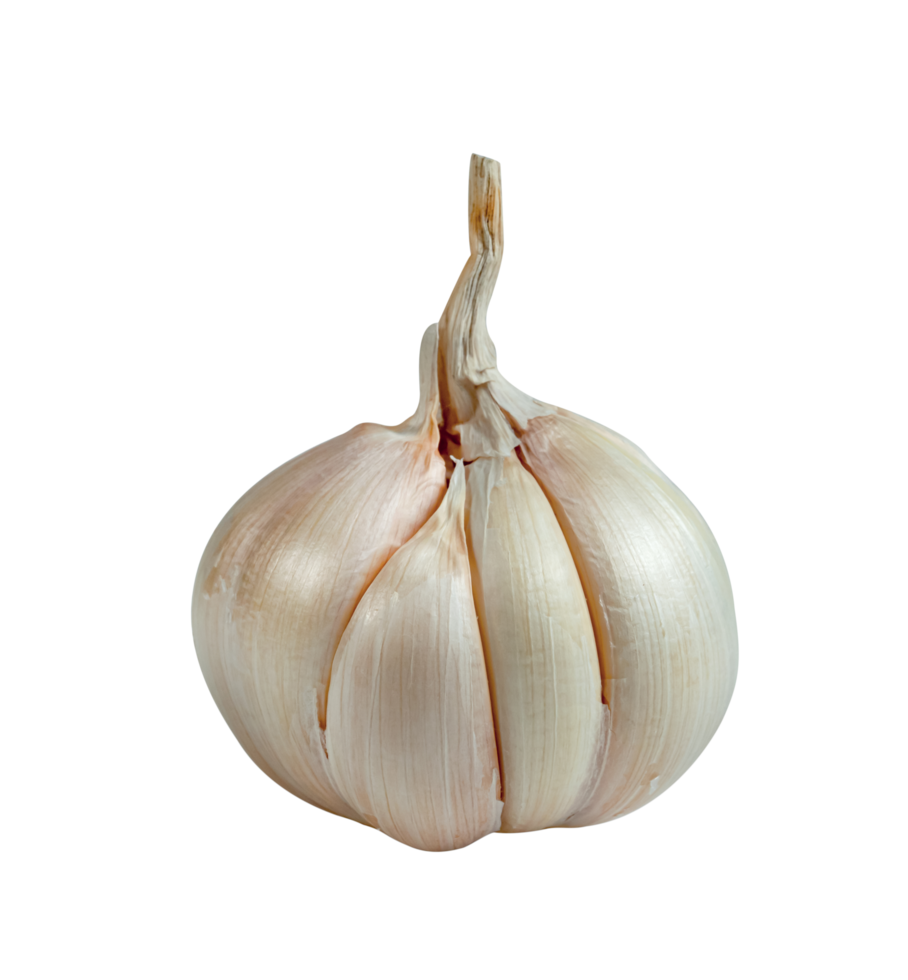 raw garlic isolated png