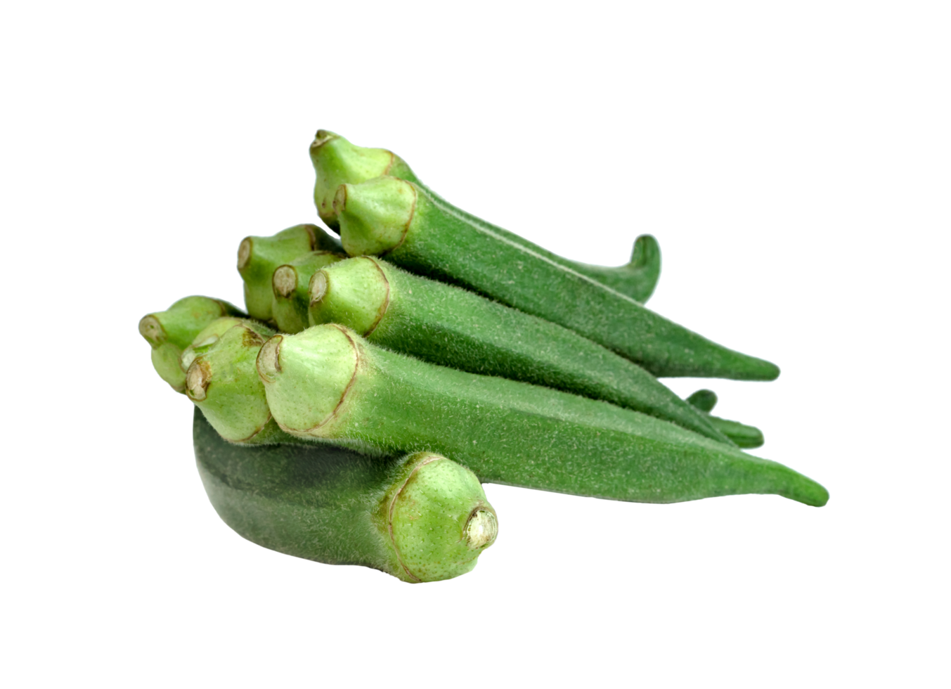 raw okra isolated png