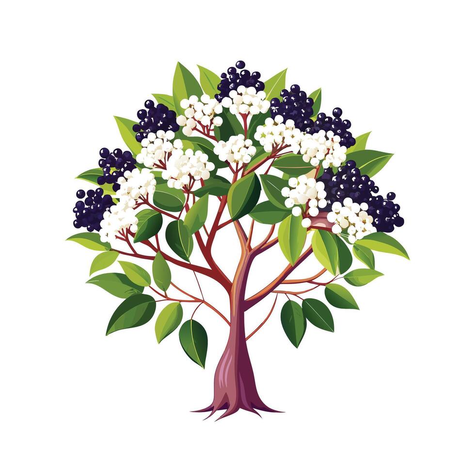 Beautiful Single Big Tree Illustration vector
