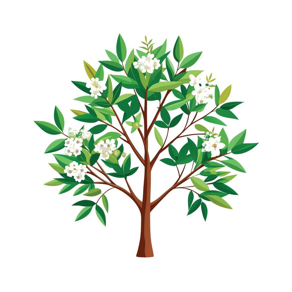 Beautiful Single Big Tree Illustration vector
