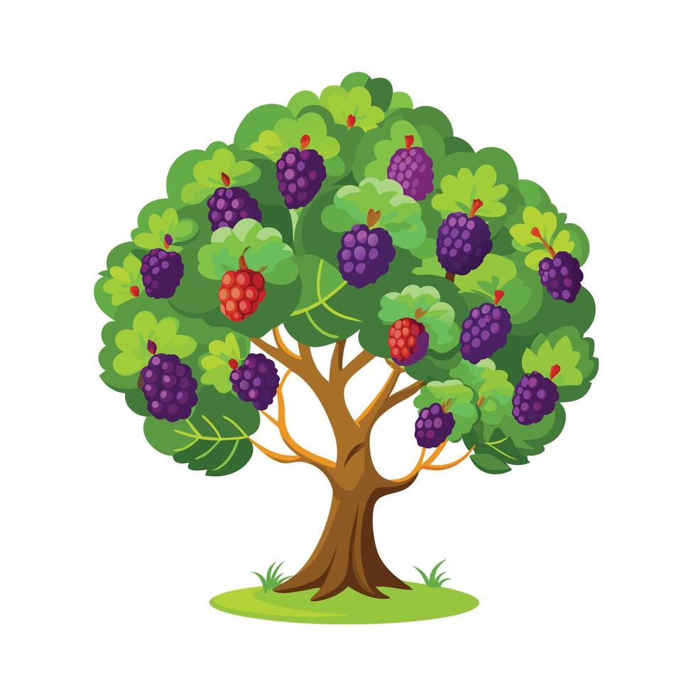Beautiful Single Big Tree Illustration vector
