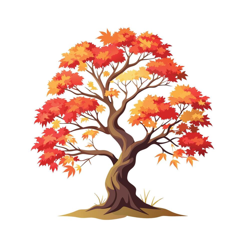Beautiful Single Big Tree Illustration vector