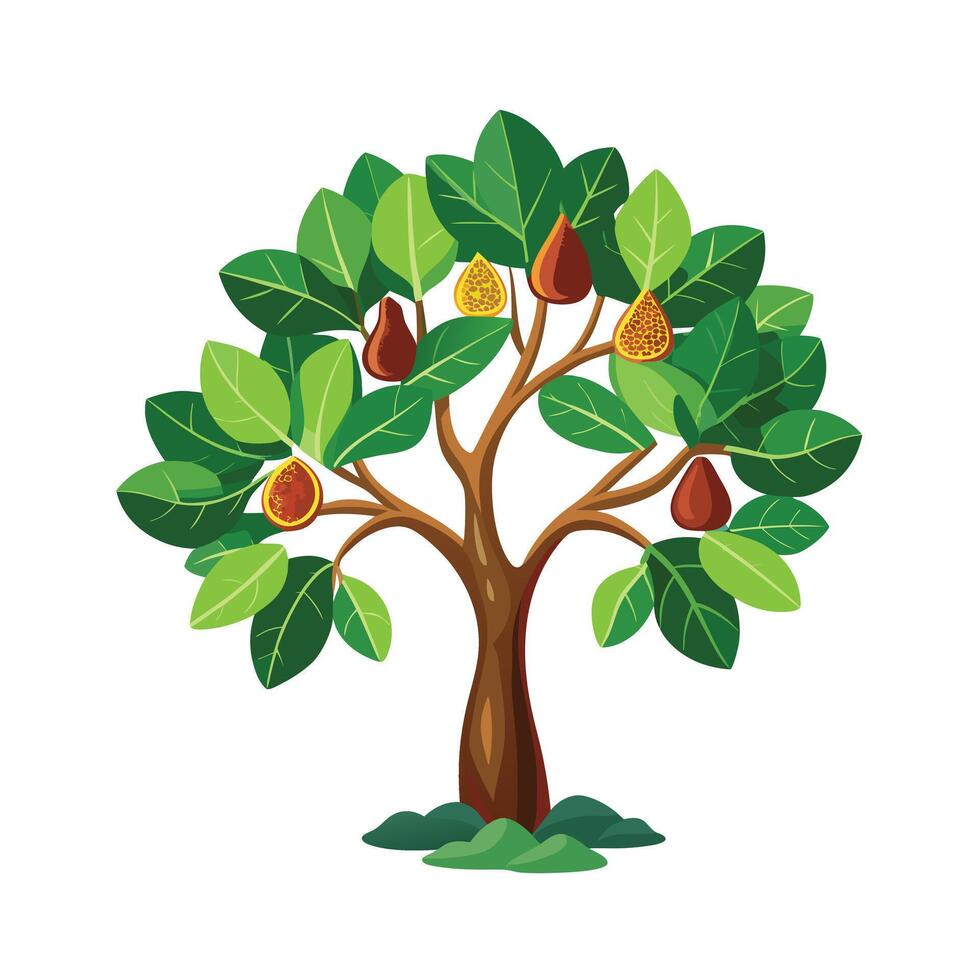 Beautiful Single Big Tree Illustration vector