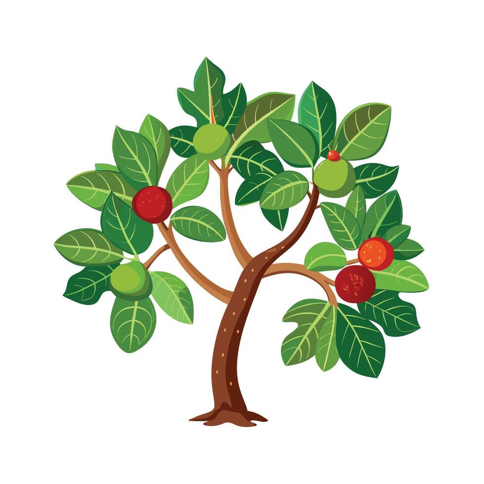 Beautiful Single Big Tree Illustration vector