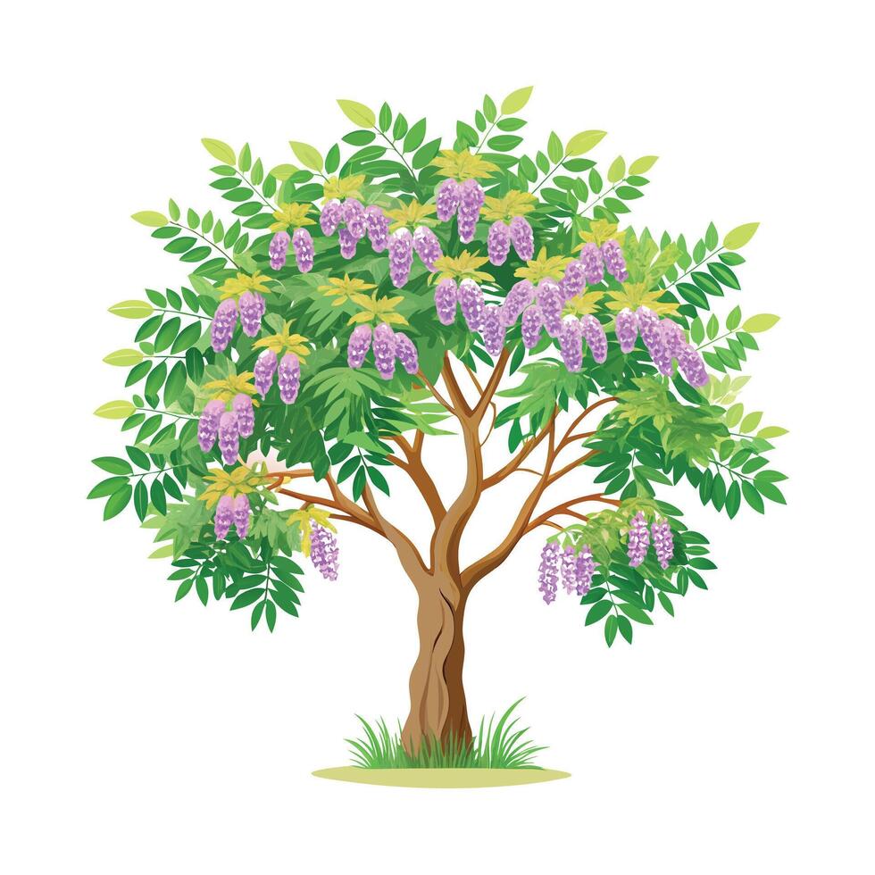 Beautiful Single Big Tree Illustration vector