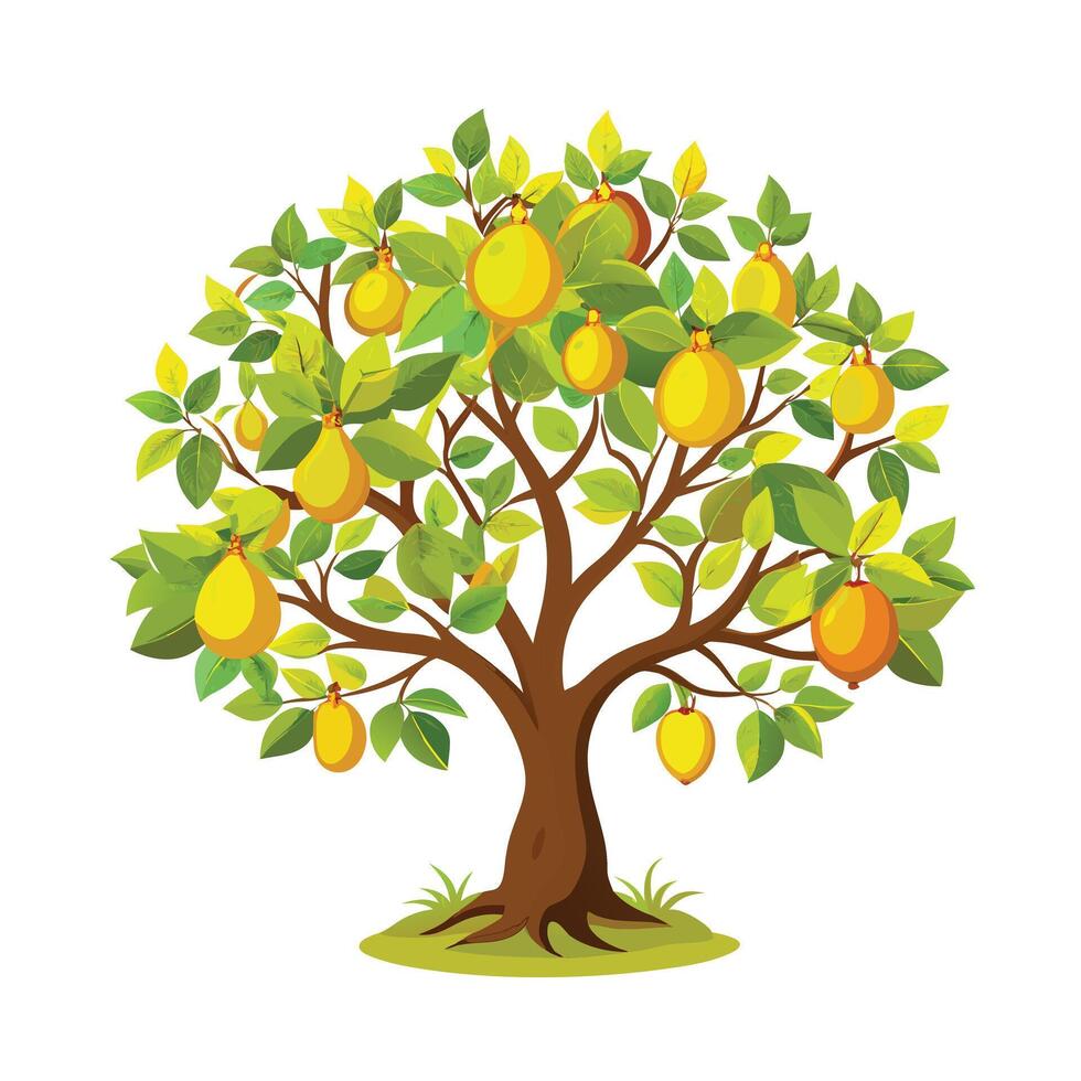 Beautiful Single Big Tree Illustration vector