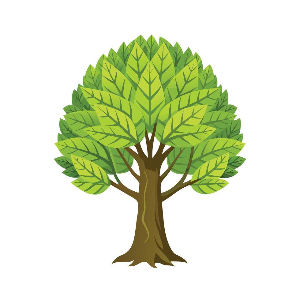 Beautiful Single Big Tree Illustration vector
