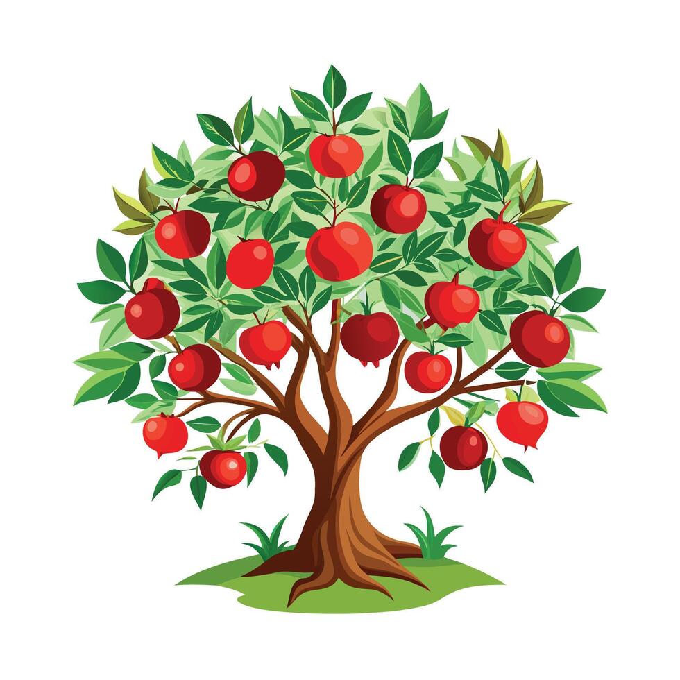 Beautiful Single Big Tree Illustration vector