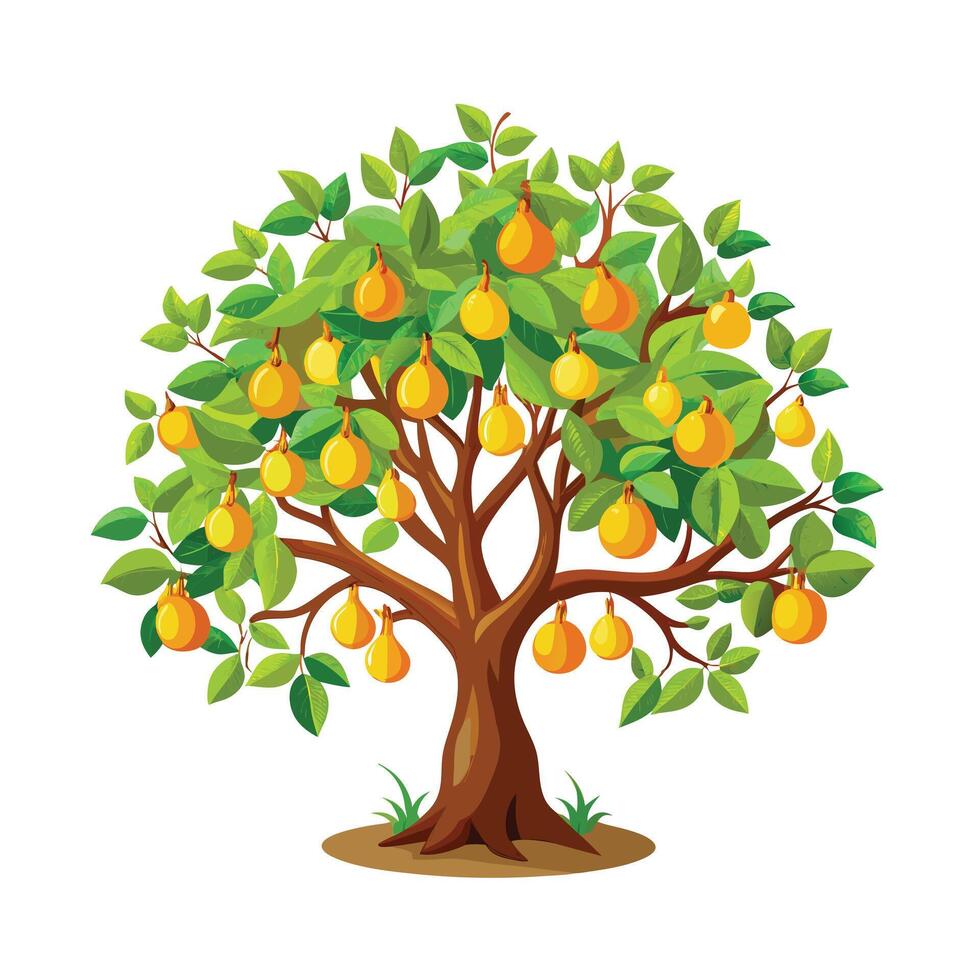 Beautiful Single Big Tree Illustration vector
