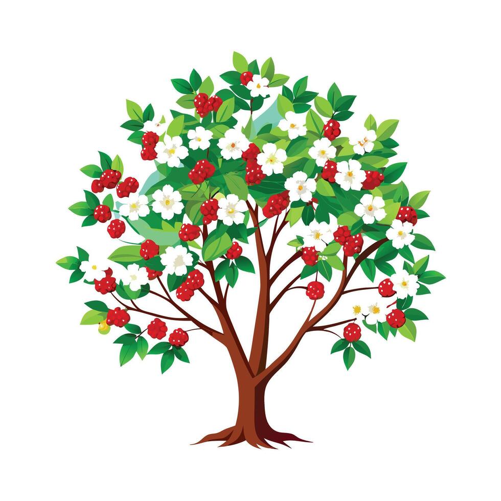 Beautiful Single Big Tree Illustration vector