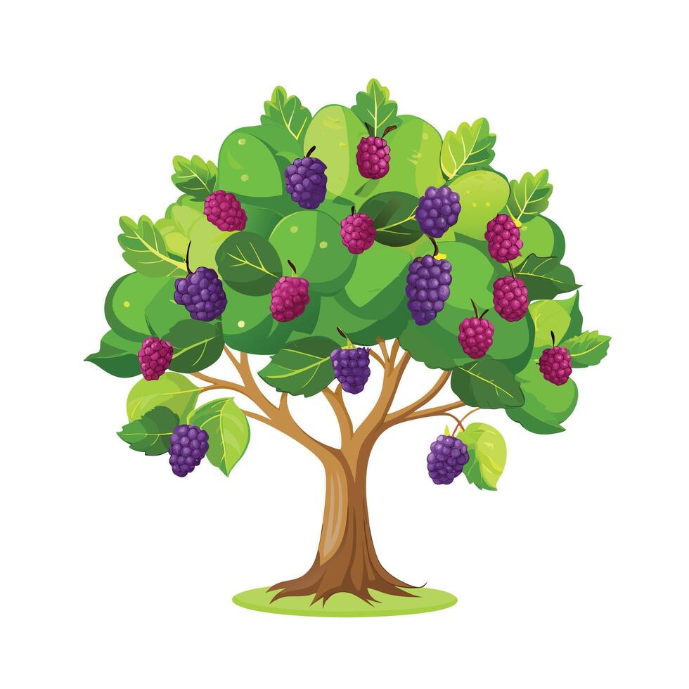 Beautiful Single Big Tree Illustration vector