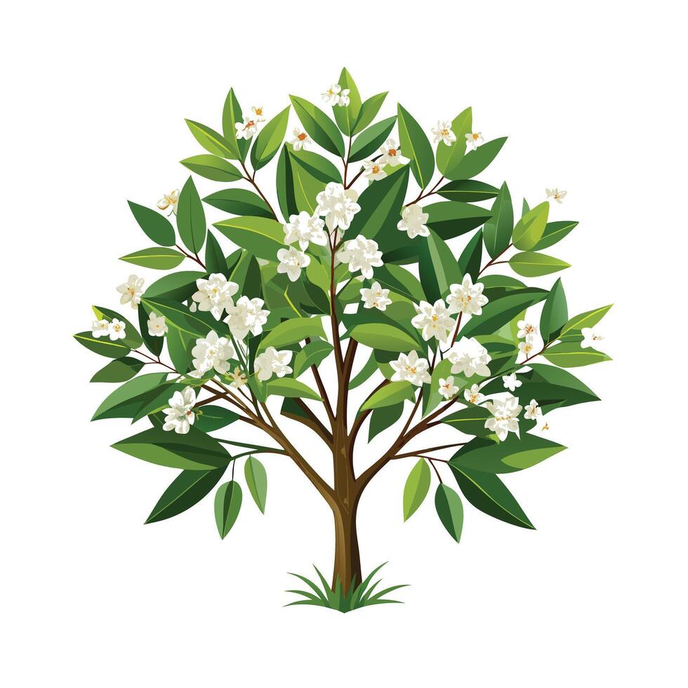 Beautiful Single Big Tree Illustration vector