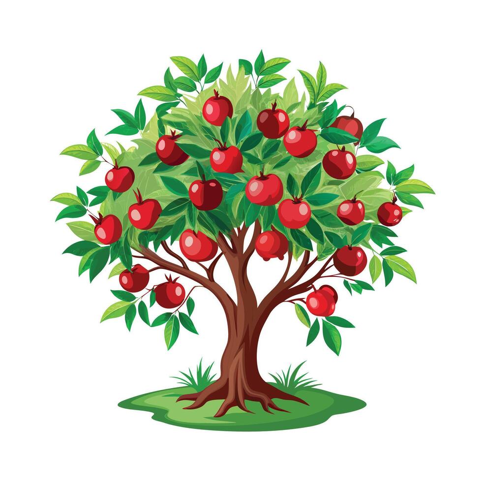 Beautiful Single Big Tree Illustration vector