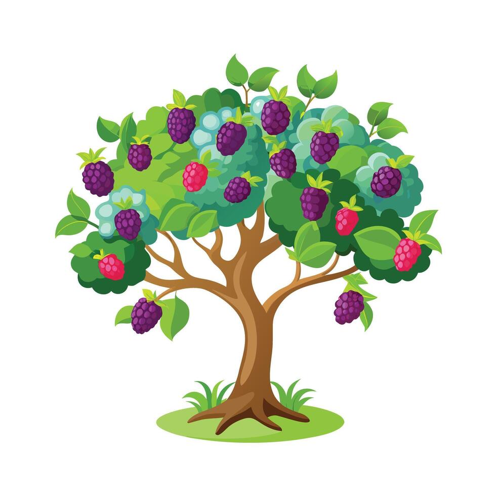 Beautiful Single Big Tree Illustration vector