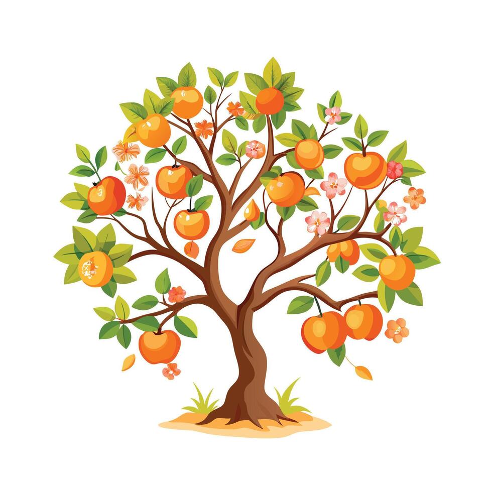 Beautiful Single Big Tree Illustration vector