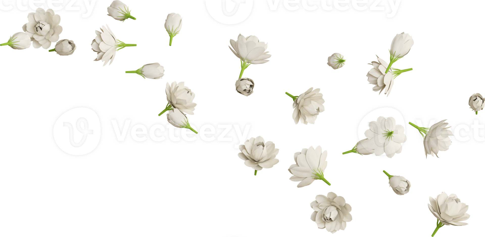 falling jasmine flower png