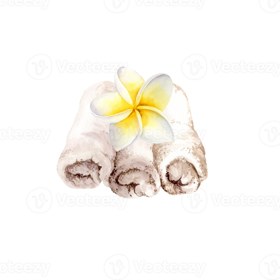 three watercolor folded white terry cotton towels for spa treatments with frangipani flower, soft washcloth for spa salon and white tropical exotic plumeria flower, summer illustration for spa png