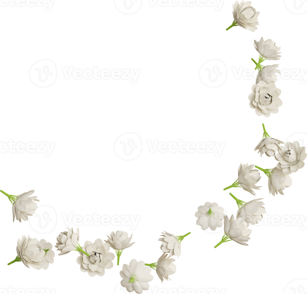 white jasmine flower png