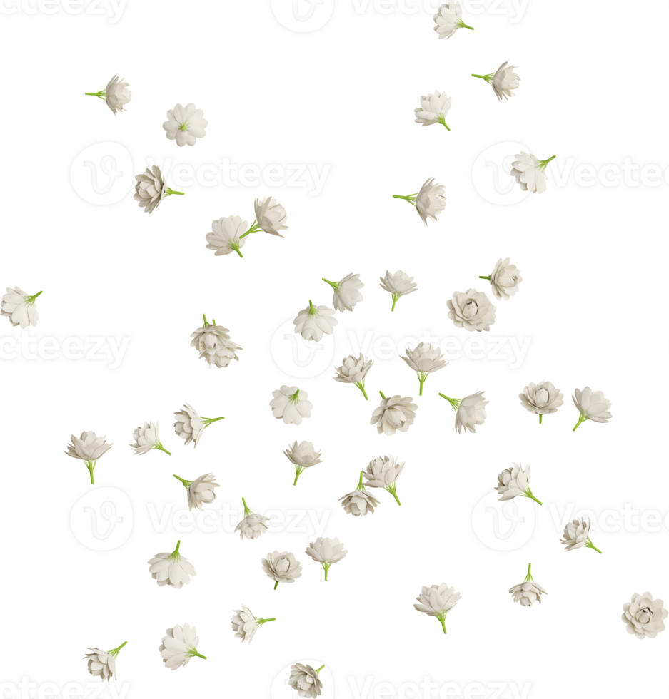 falling white jasmine flower png