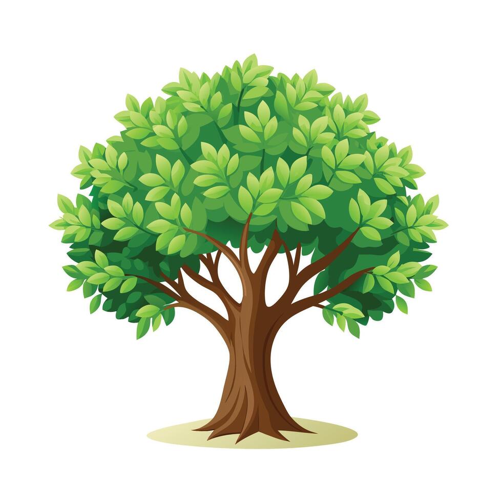 Beautiful Single Big Tree Illustration vector