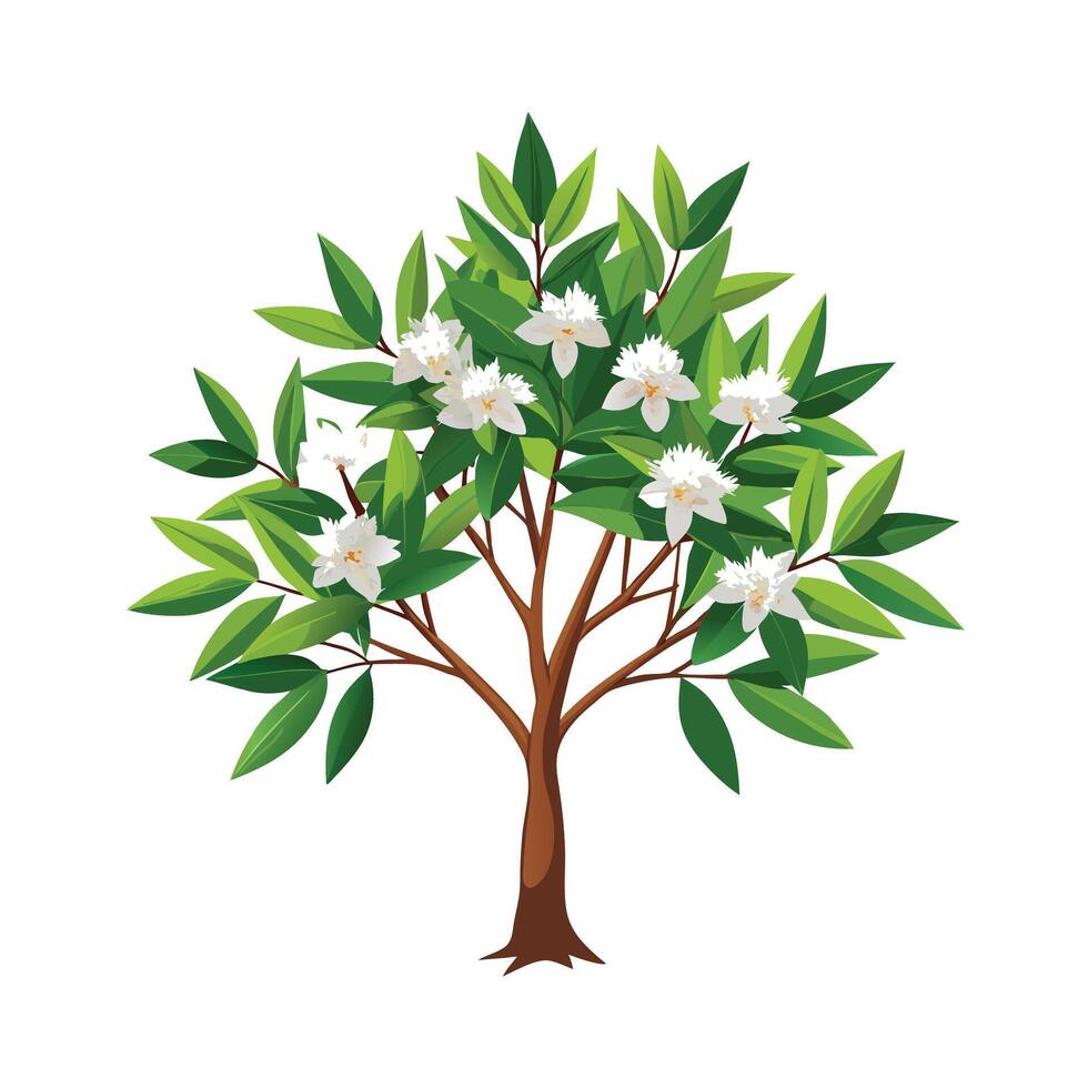 Beautiful Single Big Tree Illustration vector