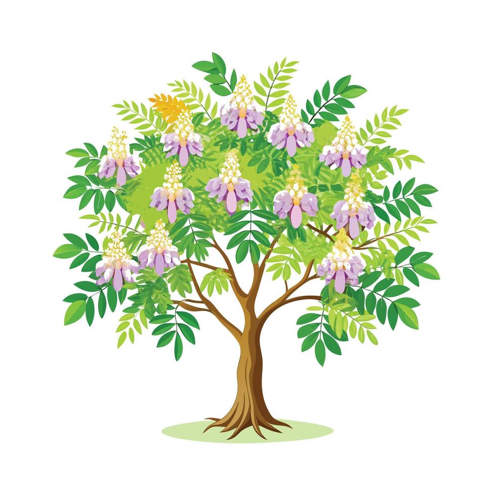 Beautiful Single Big Tree Illustration vector