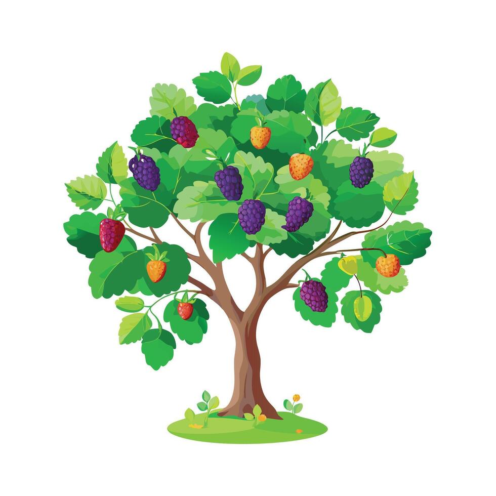 Beautiful Single Big Tree Illustration vector