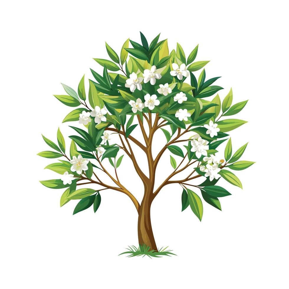 Beautiful Single Big Tree Illustration vector