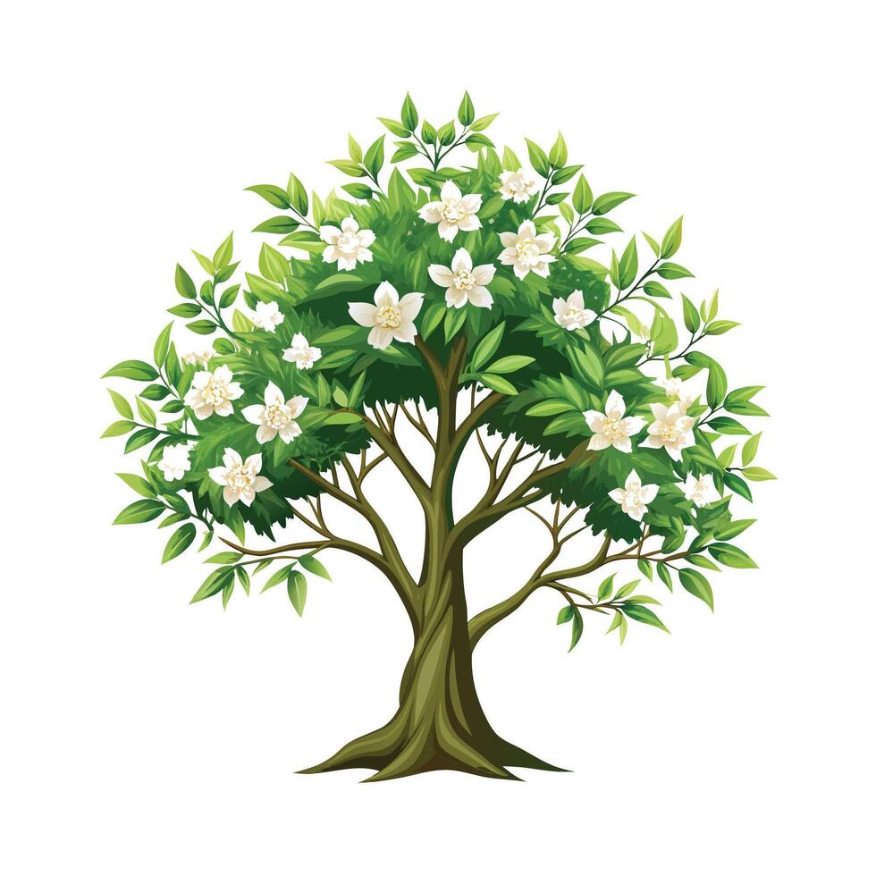 Beautiful Single Big Tree Illustration vector