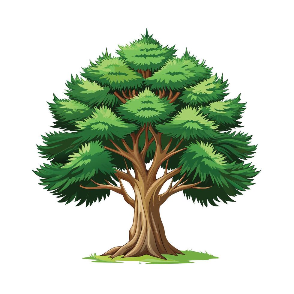 Beautiful Single Big Tree Illustration vector