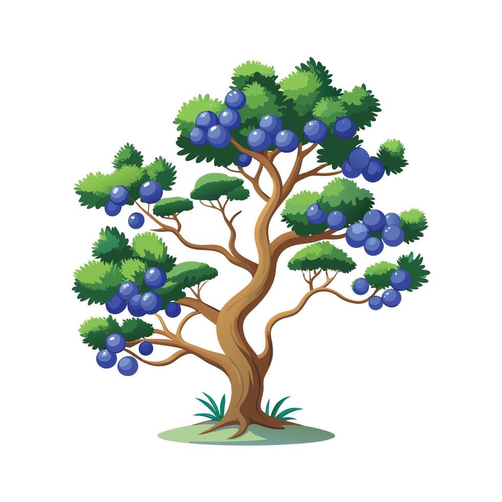 Beautiful Single Big Tree Illustration vector