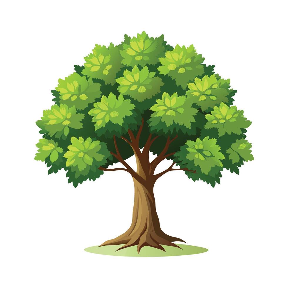 Beautiful Single Big Tree Illustration vector