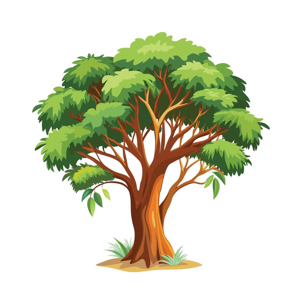 Beautiful Single Big Tree Illustration vector