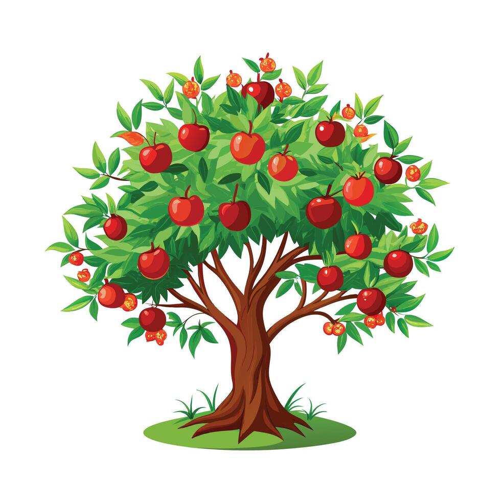 Beautiful Single Big Tree Illustration vector